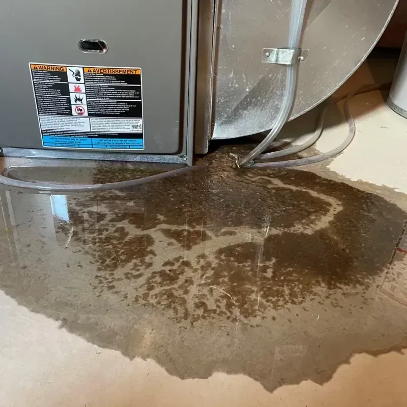 Appliance Leak Cleanup in Houck, AZ